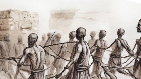 _25678213-9f5a-4533-a5c4-c14572411d24