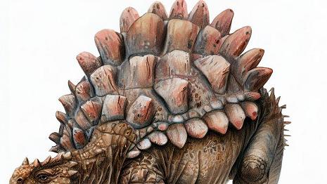 Ankylosaurus C'était un dinosaure herbivore qui mesurait environ 6 mètres de long et pesait environ 6 tonnes. Il avait une armure formée par des plaques et des nodules...