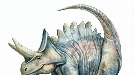 Triceratops C'était un dinosaure herbivore qui mesurait environ 9 mètres de long et pesait environ 6 tonnes. Il avait trois cornes sur la tête et une collerette osseuse...