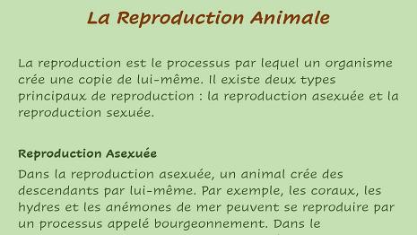 Reproduction_Animale-1