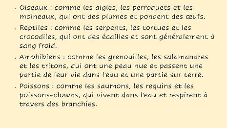 règne-animal-002