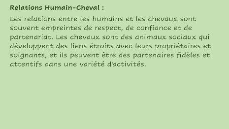 Chevaux-4