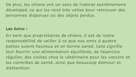 Chiens-4
