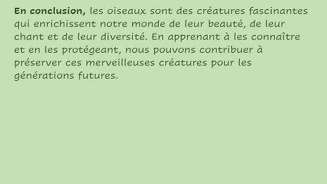Oiseaux-5