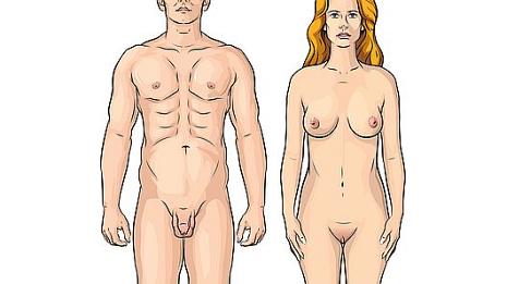 Homme et femme Ton corps change et tu deviendras un homme ou une femme... Infos sur la puberté sur Vikidia - Wikimini