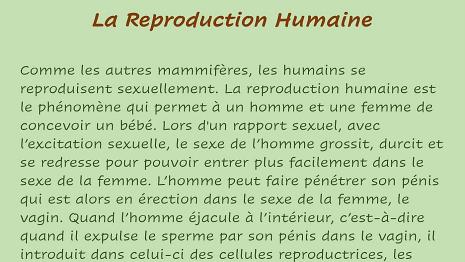 Reproduction_Humaine-1