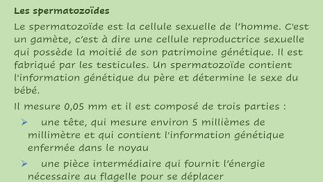 Reproduction_Humaine-2