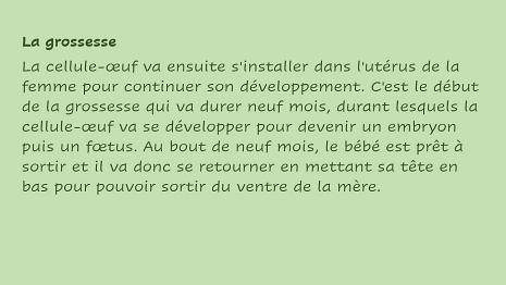 Reproduction_Humaine-7