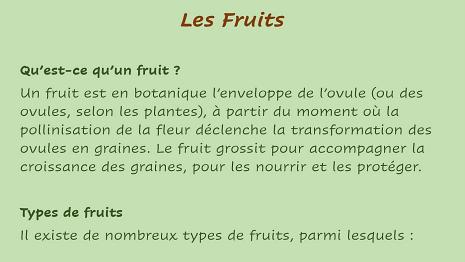 Fruits-1