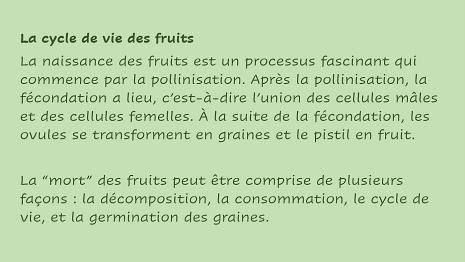 Fruits-4