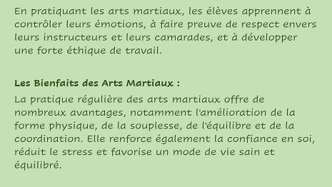 Art_Martiaux-4
