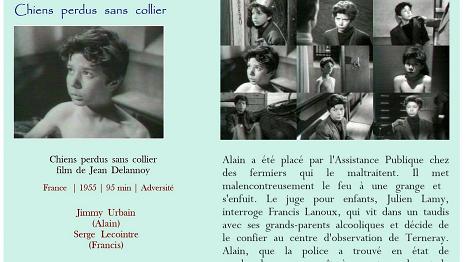 Chiens perdus sans collier