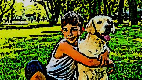 Le meilleur ami de l'homme chien - parc - ami - chaud - soleil Tu promènes le chien d'un voisin...