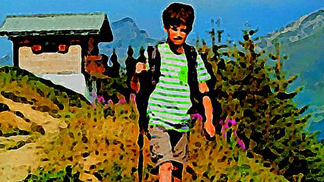 Randonnée en montagne randonnée - montagne - sentiers - seul - grimpe Tu passes tes vacances à la montagne et tu décides de faire de la randonnée...