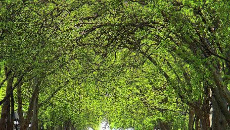 Quai des jardins de la fontaine